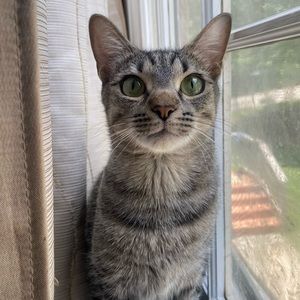 Meet your Posher, Amanda